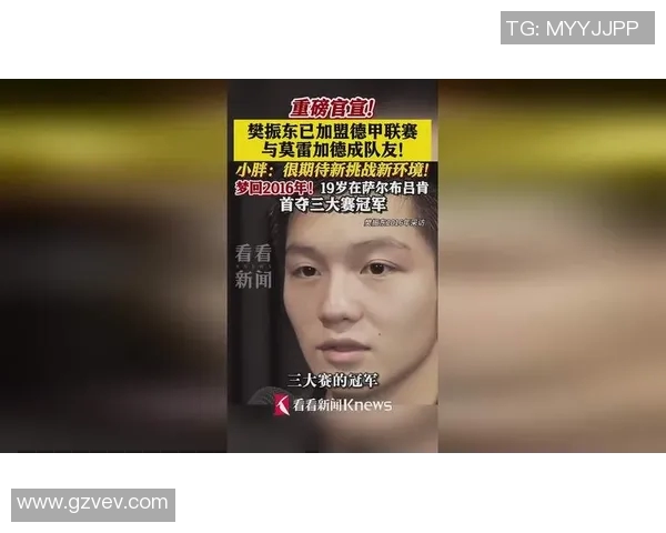 樊振东加盟德甲将与莫雷加德雨果切磋提升技艺以赛代练